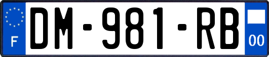 DM-981-RB