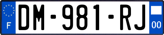 DM-981-RJ