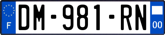 DM-981-RN