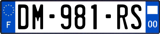 DM-981-RS