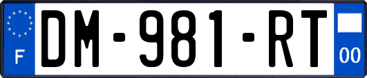 DM-981-RT
