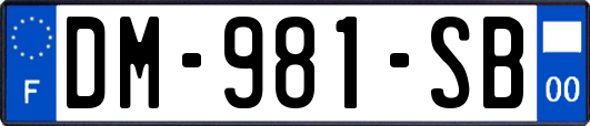 DM-981-SB