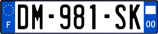 DM-981-SK