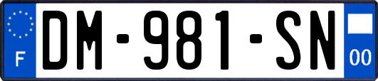DM-981-SN