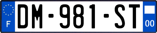 DM-981-ST