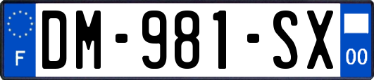 DM-981-SX