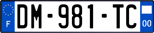 DM-981-TC