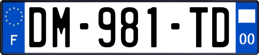 DM-981-TD