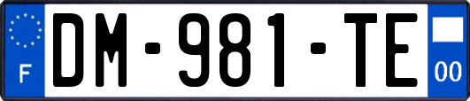 DM-981-TE