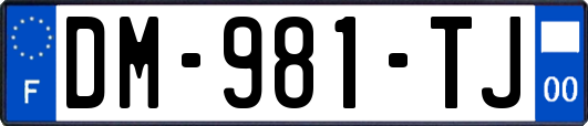 DM-981-TJ