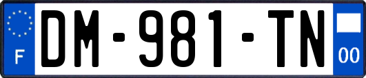 DM-981-TN