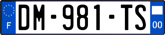 DM-981-TS