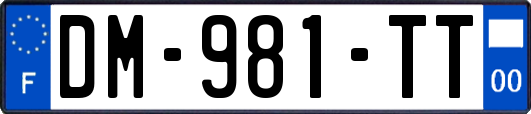 DM-981-TT