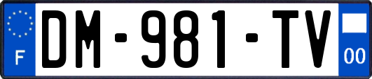 DM-981-TV