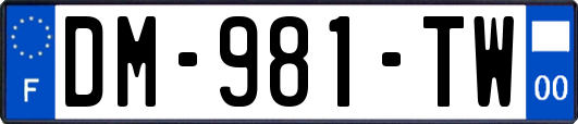DM-981-TW