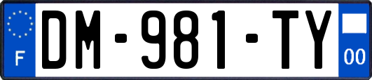 DM-981-TY