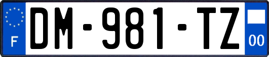 DM-981-TZ