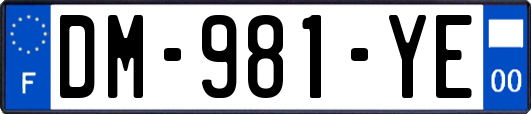 DM-981-YE