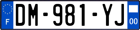 DM-981-YJ