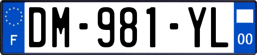 DM-981-YL