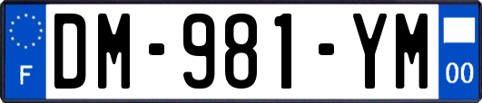 DM-981-YM