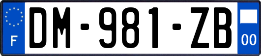 DM-981-ZB