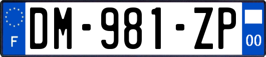 DM-981-ZP