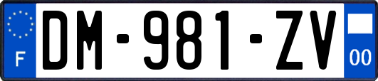 DM-981-ZV