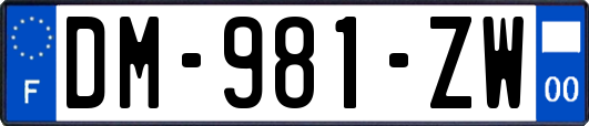 DM-981-ZW