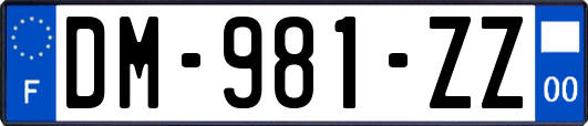 DM-981-ZZ