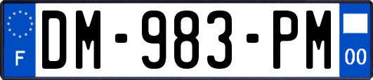 DM-983-PM