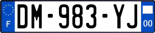 DM-983-YJ