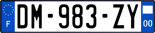 DM-983-ZY