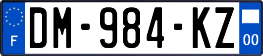 DM-984-KZ
