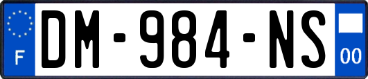 DM-984-NS