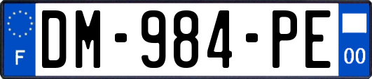 DM-984-PE