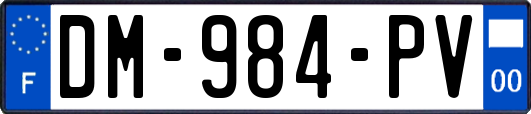 DM-984-PV