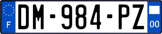 DM-984-PZ