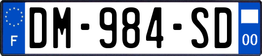 DM-984-SD