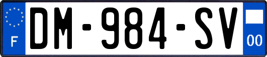 DM-984-SV