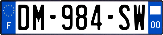 DM-984-SW