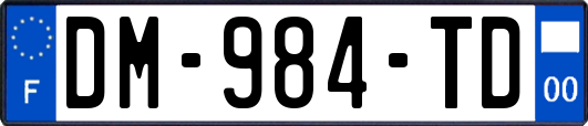 DM-984-TD