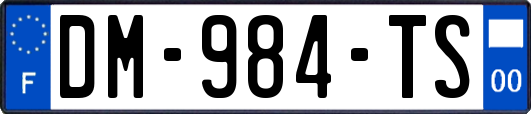 DM-984-TS