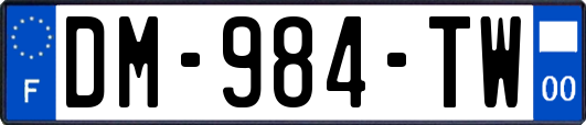 DM-984-TW