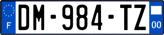 DM-984-TZ