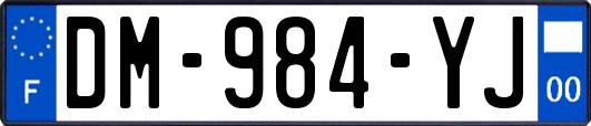 DM-984-YJ