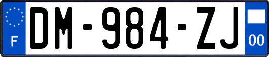 DM-984-ZJ