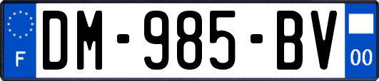 DM-985-BV