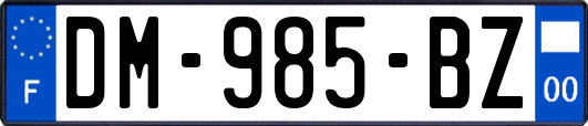 DM-985-BZ