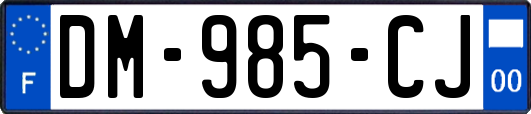 DM-985-CJ